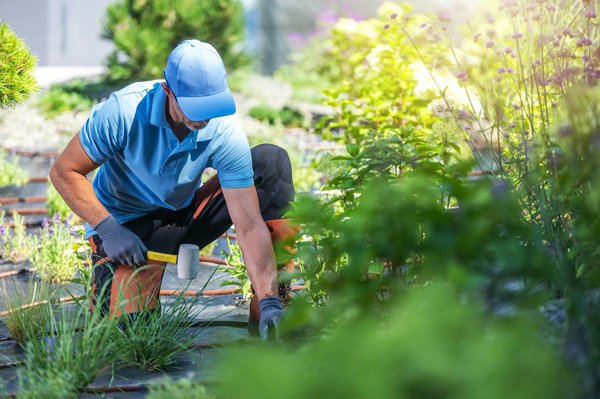 L'avenir de l'inbound marketing : tendances et prédictions